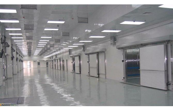 這款塑料托盤打入“冷宮”，也能混的如魚得水？